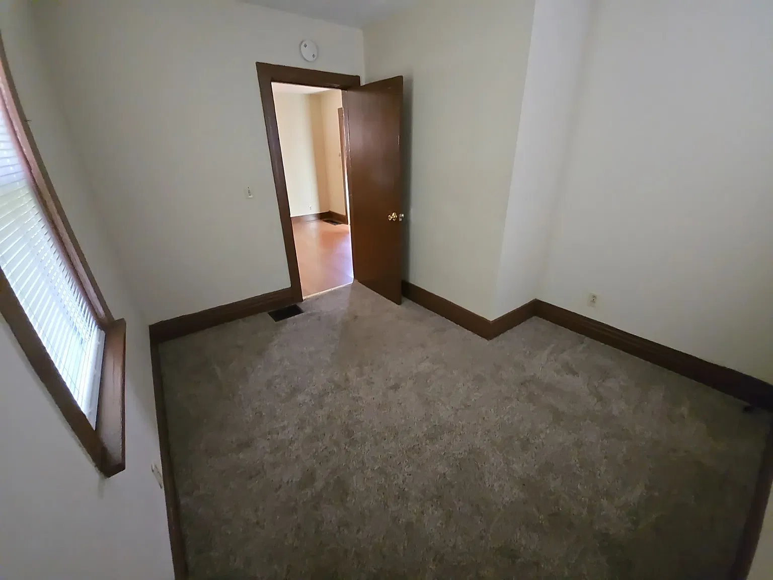 2 bed, 800 sqft, $975 — Photo 3