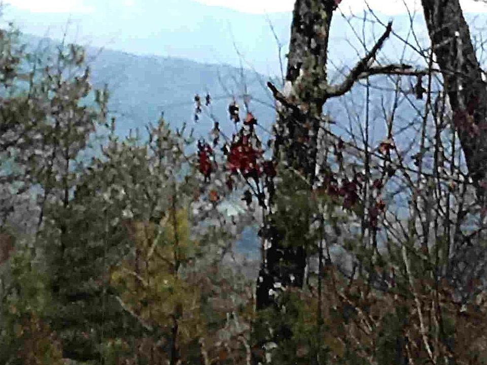 2nd image of Bear Den Rd