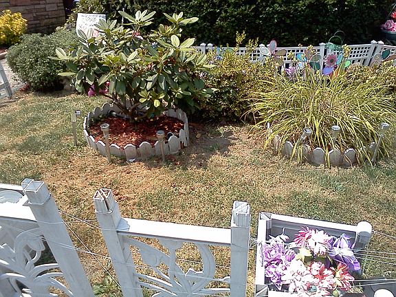 Plant Garden