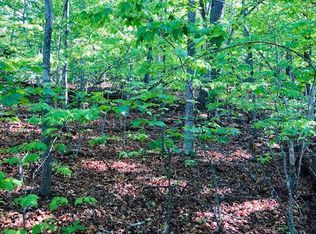 4 Covered Bridge Rd, Blairsville, GA 30512