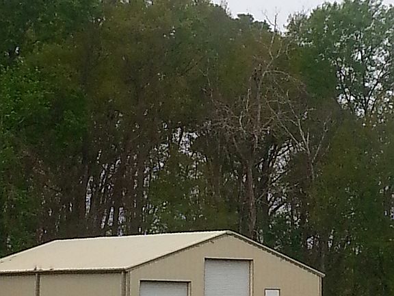 2nd image of 9199 E Highway 936