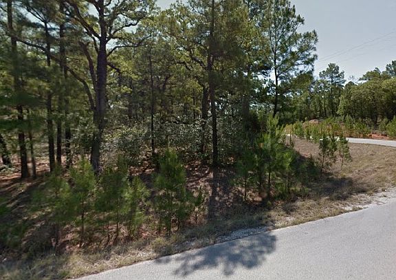 2nd image of 107 Campfire Way