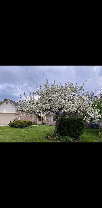 1st image of 7566 Allenwood Ct