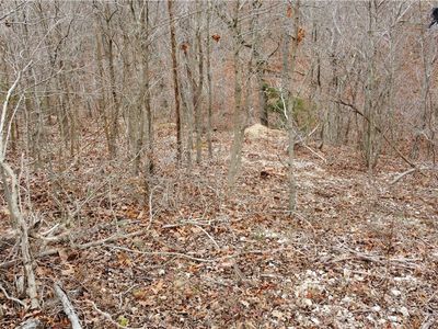 3 Havant Cir #2, Bella Vista, AR, 72714