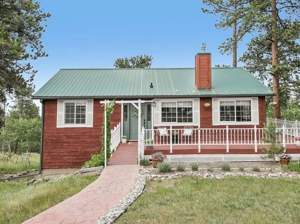 278 Overlook Dr, Bailey, CO 80421