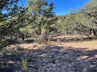 48 Kent Dr, Cotopaxi, CO 81223