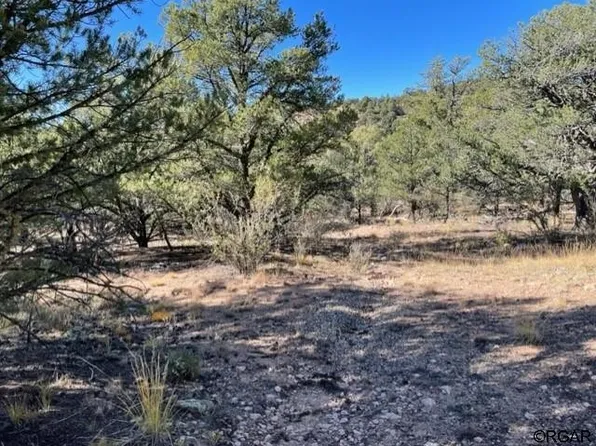 48 Kent Dr, Cotopaxi, CO 81223