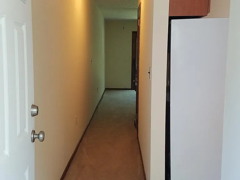 Walking into your new condo - a hallway to the Living Room and the Kitchen immediately to your right as you walk in the door