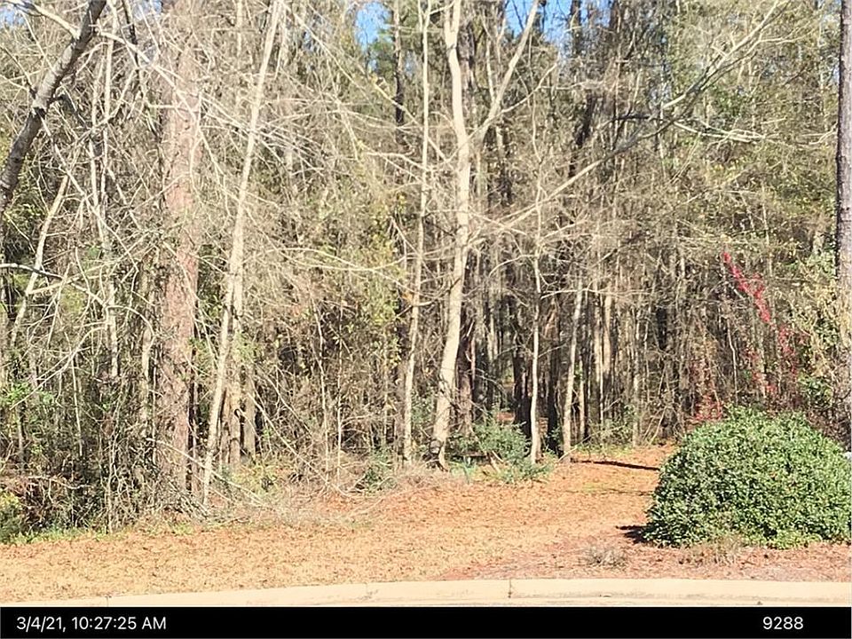 2nd image of 137 Amelia Ln