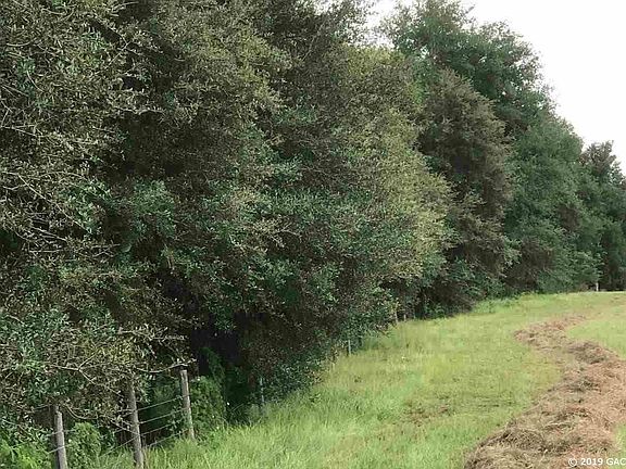 3rd image of 10453 NW County Road 235