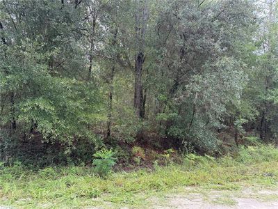 tbd SW 125TH TERRACE LOT 13, Dunnellon, FL, 34432