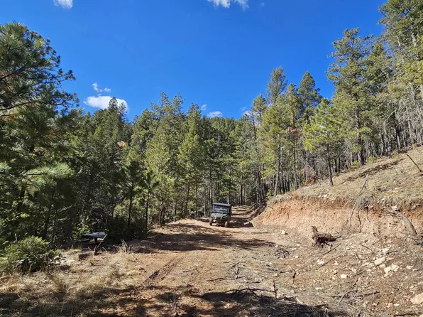 230-230A Dark Canyon Rd, Cloudcroft, NM 88317