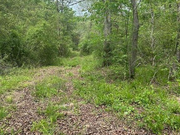 5th image of 11 County Road 3902