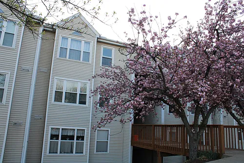 20 Deer Run Ct #H Photo 1 20 Deer Run Ct #H Photo 1