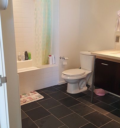 5th image of 1155 S Grand Ave APT 1201