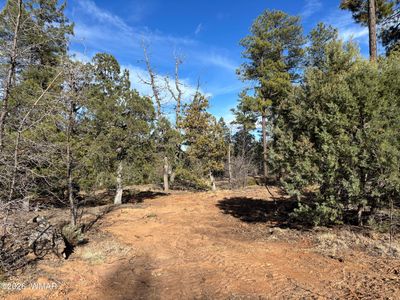 6992 Wagon Wheel Ln, Lakeside, AZ, 85929