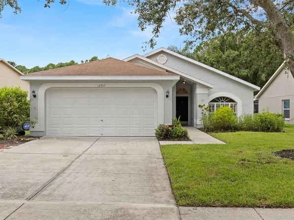 12957 Royal George Ave, Odessa, FL 33556