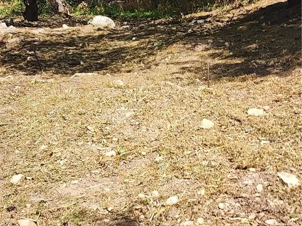 7095 Flora Morgan Trl #223, Tujunga, CA 91042