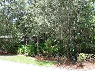 52 Blue Willow St, Bluffton, SC, 29910