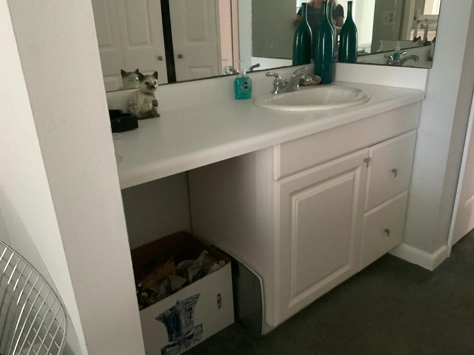 1 bed, 756 sqft, $5,000 — Photo 3