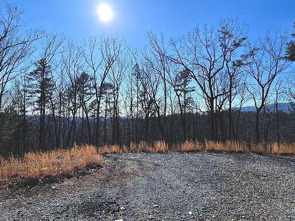 2nd image of 673 Willard Mountain Rd