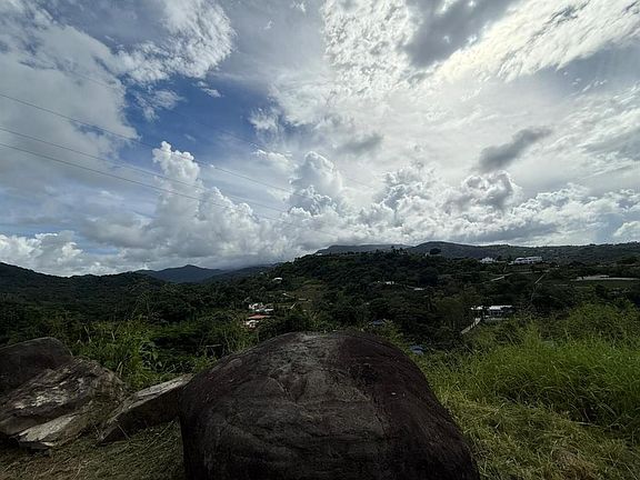 2nd image of 10 Rainforest Sea Vw
