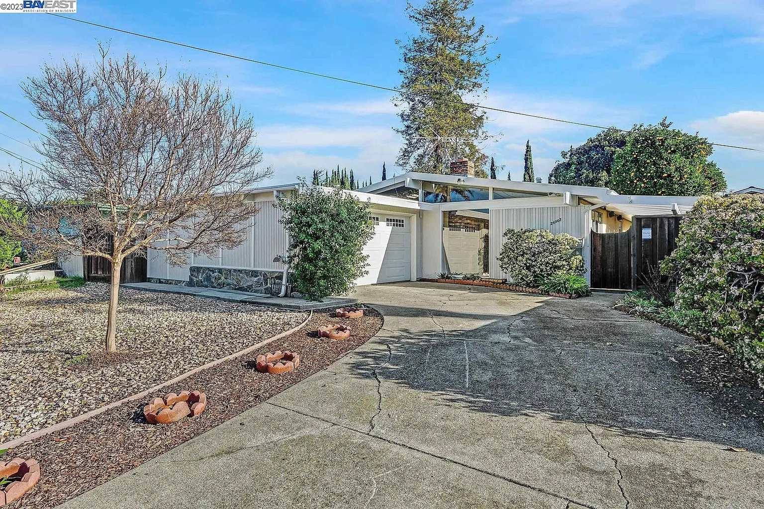 24962 Papaya St photo 1