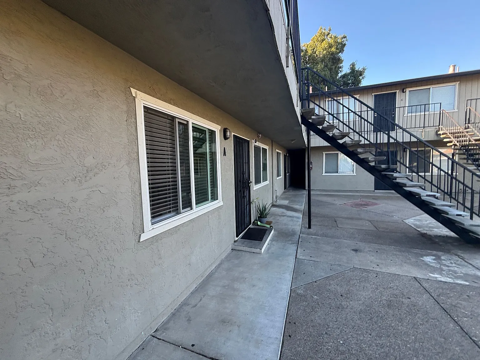 313 Lawton St — Photo 4