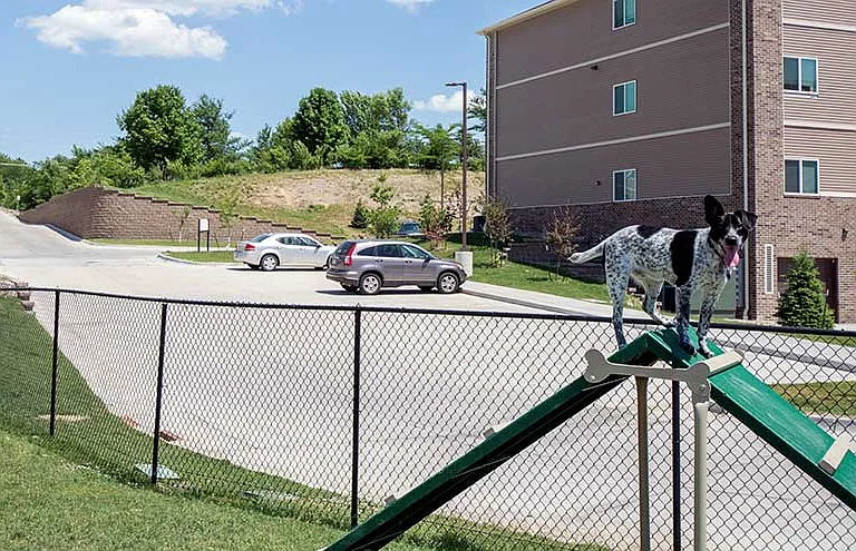 Walnut Lake Apartments — Photo 26