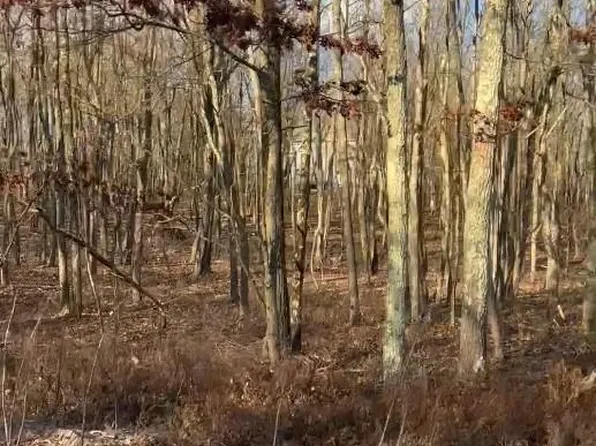 55 Arapahoe Rd #Mv2330, Albrightsville, PA 18210