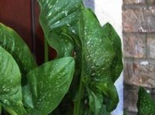 162 Mallard Way, Mooresville, NC 28117