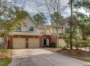 6 S Magnolia Pond Pl, Spring, TX 77381