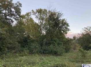 602 Wilson St, Florence, SC 29506