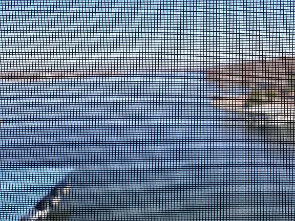 3rd image of 1205 Lands End Pkwy #419