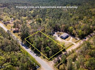 10600 Gregory Ave, Hastings, FL 32145