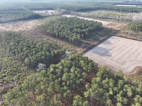 Eddie Ct, Marion, SC 29571