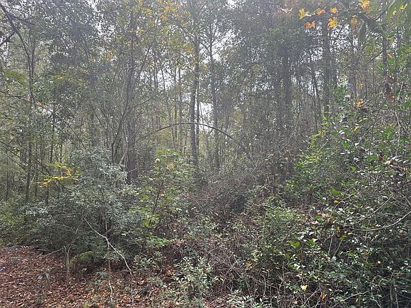 2nd image of 1281-0 Jack And Johnny Rd SW