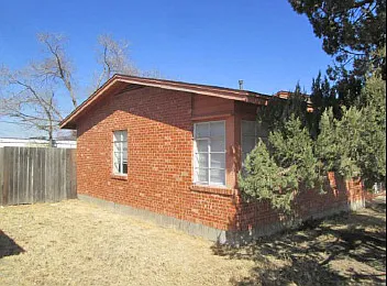 Back & side yard