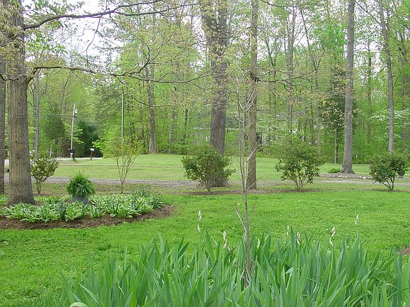 5th image of 71 Ferndale Dr
