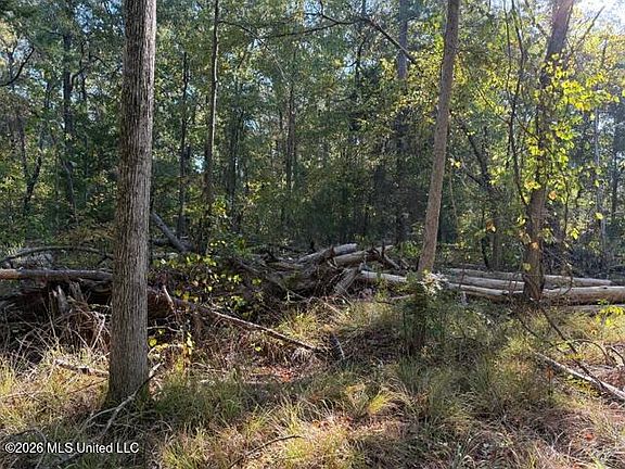 5th image of Old Fannin Rd