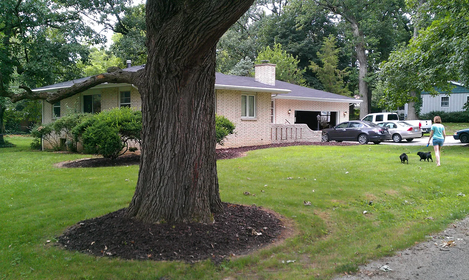 701 Colony Grv photo 1