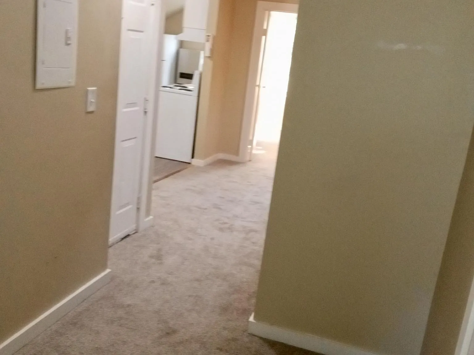 343 Windham Center Rd — Photo 4