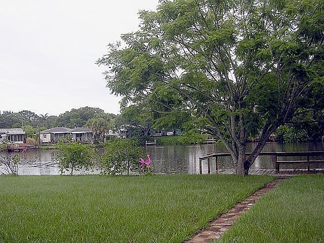 Backyard View