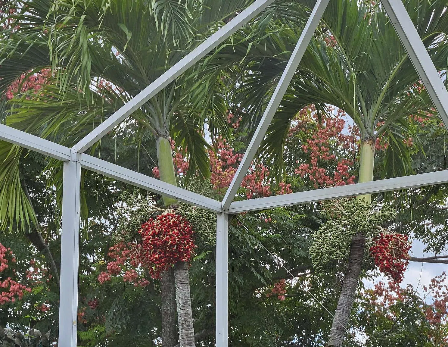 Laurel Lakes Blvd, Naples — Photo 4