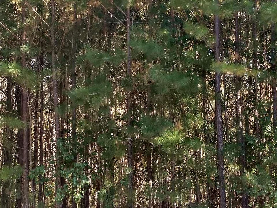 2nd image of 414 Winslow Way
