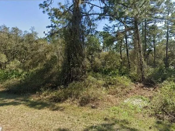(undisclosed Address), Eustis, FL 32736