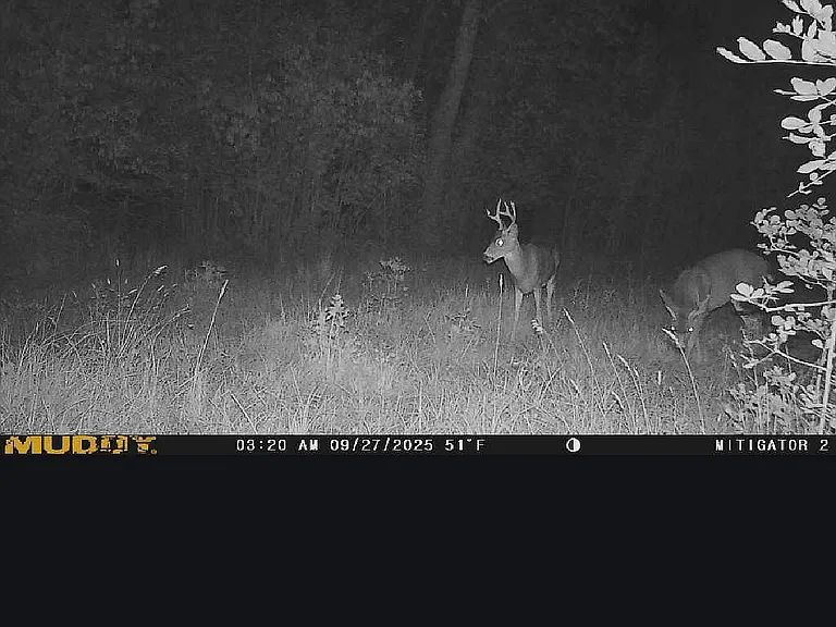 35847 Providence School Rd — Photo 6