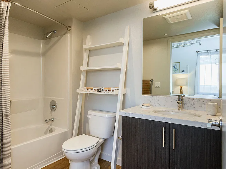 Modern vanity and shelving in bathrooms