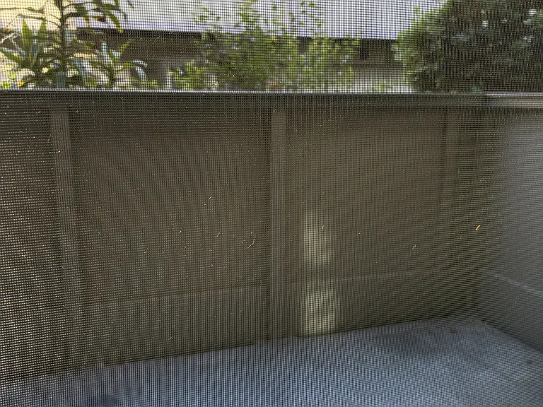 838 Coriander Dr #C — Photo 5