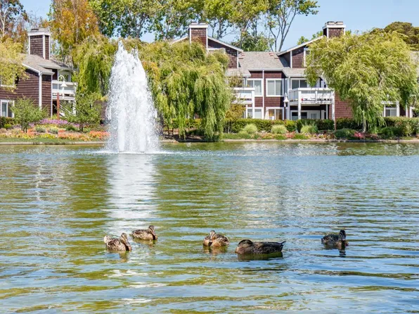 209 E Bayside Court NE, Richmond, CA 94804